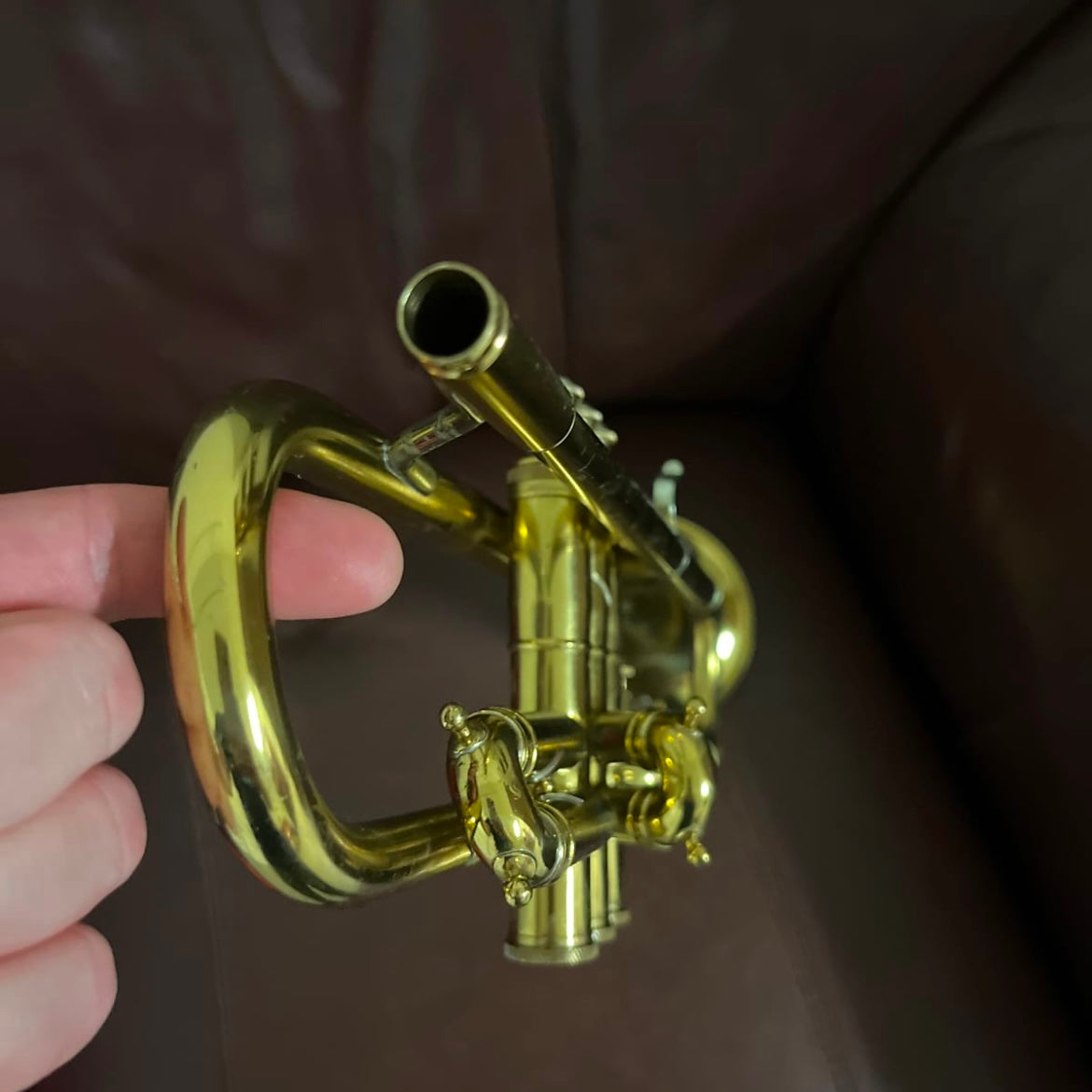 Blessing Scholastic Bb Trumpet (1966) SN 145904 (rare)