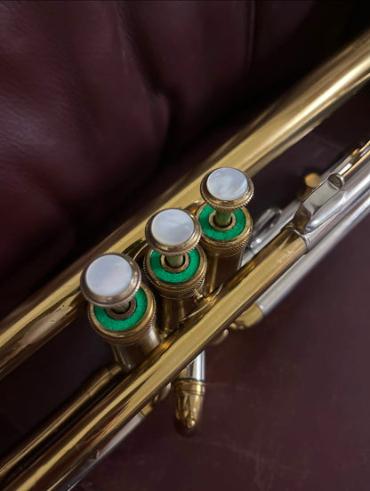 Blessing Scholastic Bb Trumpet (1966) SN 145904 (rare)