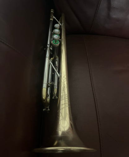Holton 51LB Bb Trumpet (1954) SN 260346 (100% new clear lacquer)(professional)