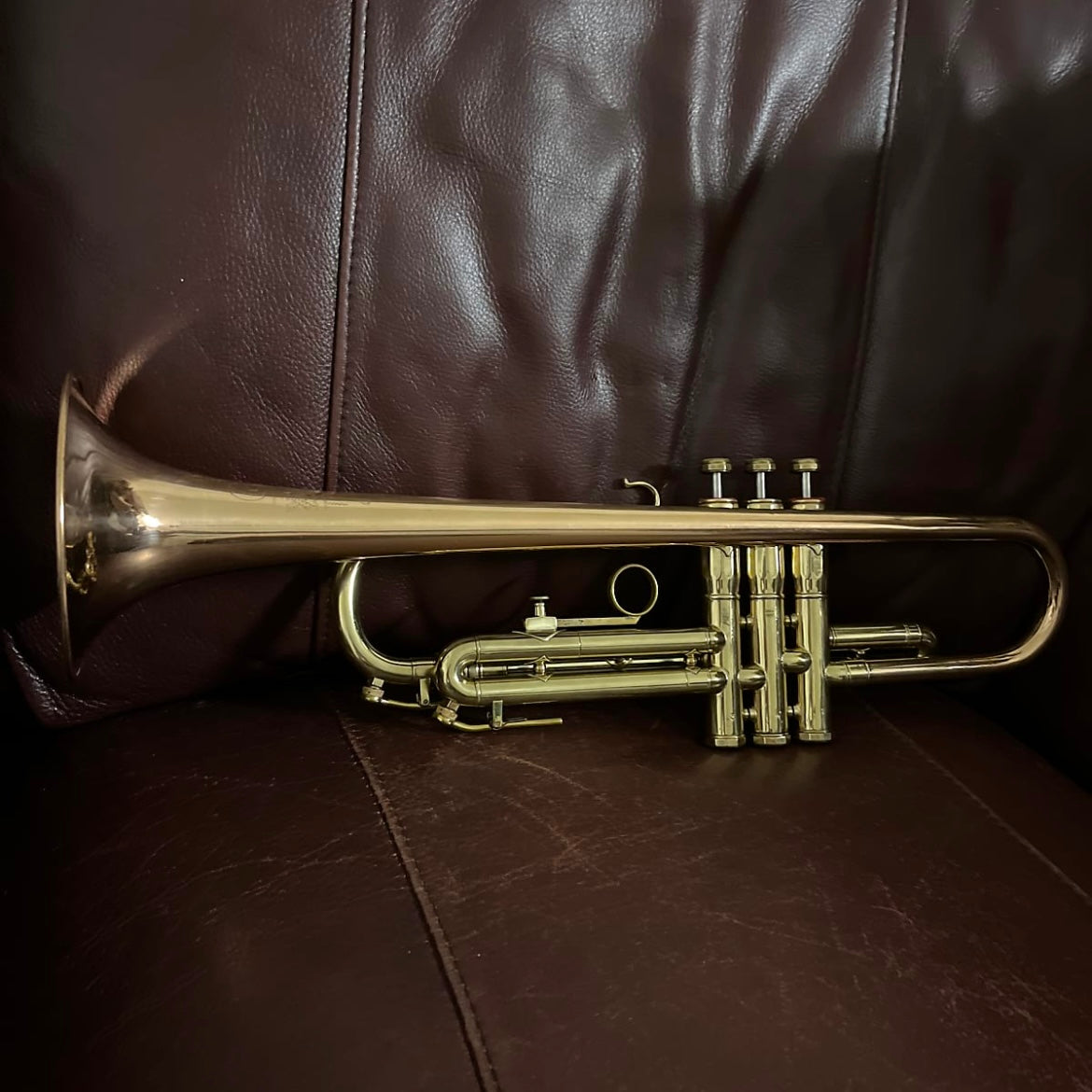 York Custom Bb Trumpet (1951) SN 172209 (Gold Brass bell)(rare)